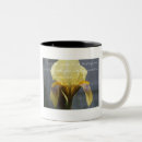 Recherche de iris jaunes tasses Pour tous