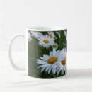 Recherche de marais tasses Herbe