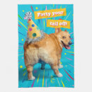 Recherche de corgi cuisine linges Chiot