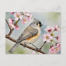 Zoek naar sakura briefkaarten Lente