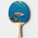 Recherche de tortue raquettes ping pong Animal