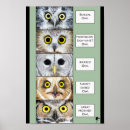 Recherche de hiboux posters Nature