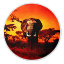 Recherche de éléphants boutons et poignées de porte Animal