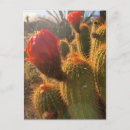 Recherche de soleil rouge cartes postales Voyage