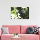 Recherche de faune et flore art Photographie
