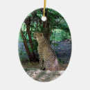 Recherche de guépard ornements Nature