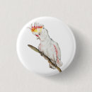Zoek naar papegaaien buttons Waterverf