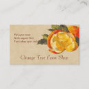 Recherche de fruit orange cartes visite Agrumes