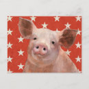Recherche de cochons cartes postales Vacances