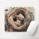 Recherche de écureuil tapis souris Forêt