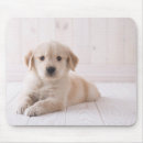 Recherche de golden retriever tapis souris Mignon