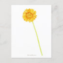 Recherche de gerbera cartes postales Floral
