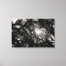 Recherche de rêverie photographie Plante