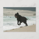 Recherche de tarifa cartes postales Espagne
