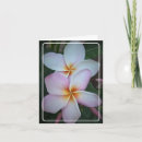 Recherche de plumeria vœux cartes Frangipanier
