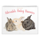 Recherche de lapin calendriers Animal