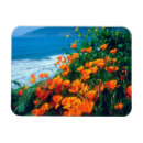 Recherche de coquelicot magnets Américain