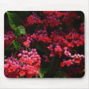 Recherche de coeur rose tapis souris Tropical