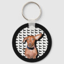 Recherche de teckel porteclés Chien de saucisse