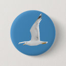 Recherche de mouette badges Faune