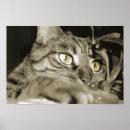 Zoek naar naakte posters Fotografie