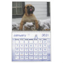 Zoek naar engels kalenders Puppies