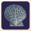 Zoek naar shells onderzetters Schelpen van zee