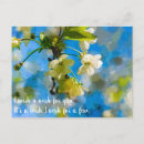 Recherche de joli arbre cartes postales Fleur