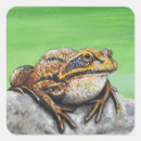 Recherche de peinture de grenouille autocollants Amphibien