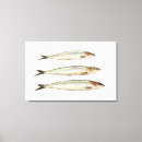 Recherche de sardines art Fruits de mer
