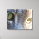 Recherche de chaton impressions sur toile Moderne