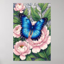 Zoek naar morpho vlinder posters Insect