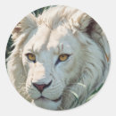 Zoek naar witte leeuw stickers Oerwoud