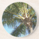 Recherche de cocotier dessous de verres Tropical