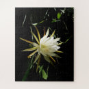 Recherche de cactus puzzles Succulent