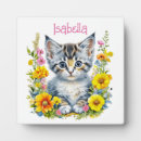 Recherche de amoureux de les chats plaques Chaton