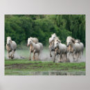 Zoek naar paard water posters Boerderij