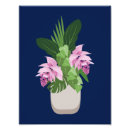 Recherche de orchidée bleue posters Tropical