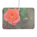 Zoek naar roze bloem fotografie Botanisch