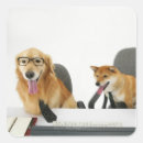 Recherche de humour de bureau autocollants Animal