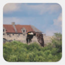 Recherche de bald eagle autocollants Nature