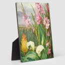 Recherche de botanique plaques Fleurs
