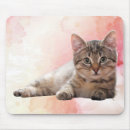 Recherche de chat gris blanc tapis souris Animaux