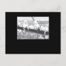 Recherche de parodie cartes postales Chats