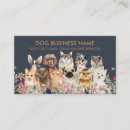 Recherche de dessin de chien cartes visite Caniche