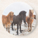 Recherche de cheval islandais dessous de verres Colt