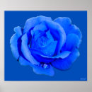 Recherche de rose et bleu art Unique
