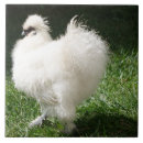 Recherche de barbu carreaux Pour tous