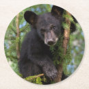 Recherche de animal sauvage dessous de verres Arbres