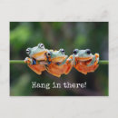 Recherche de hang in there posters Accrochez vous là